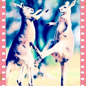 No-smoking&pet&kids♧ship from SanFrancisco😊👙🏄🍎